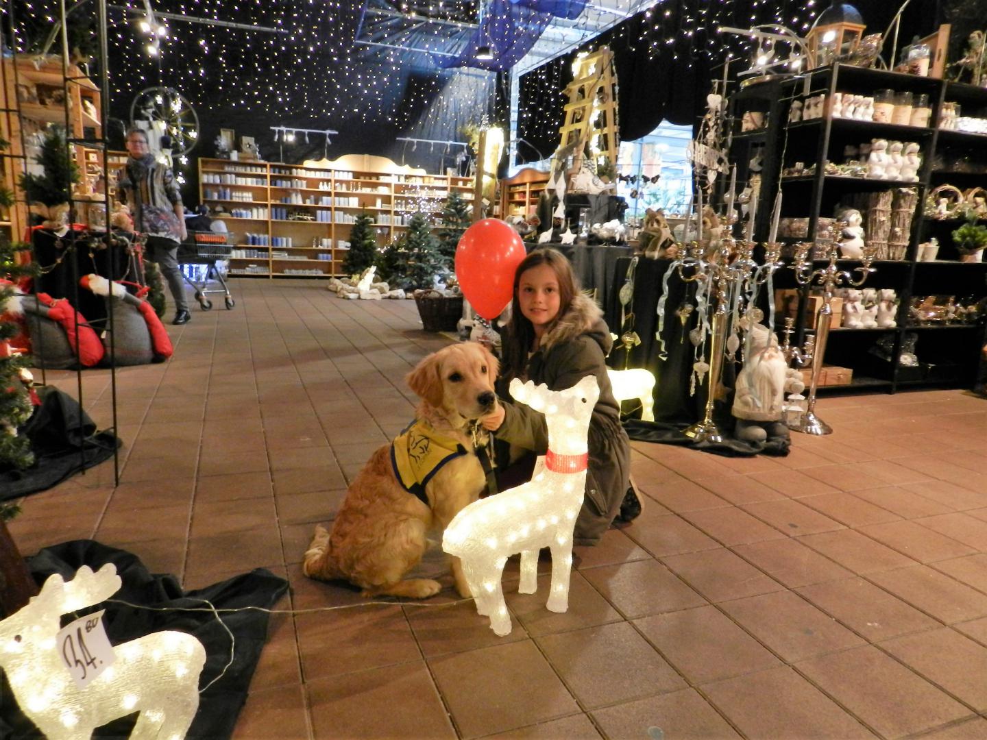 Magasins